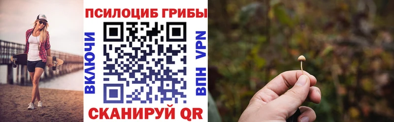Галлюциногенные грибы Cubensis  Белокуриха 